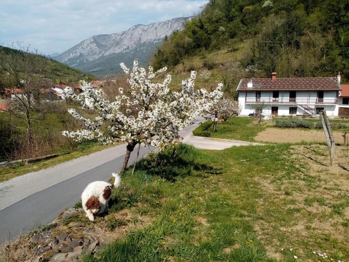 Apartma Moser Podnanos Экстерьер фото